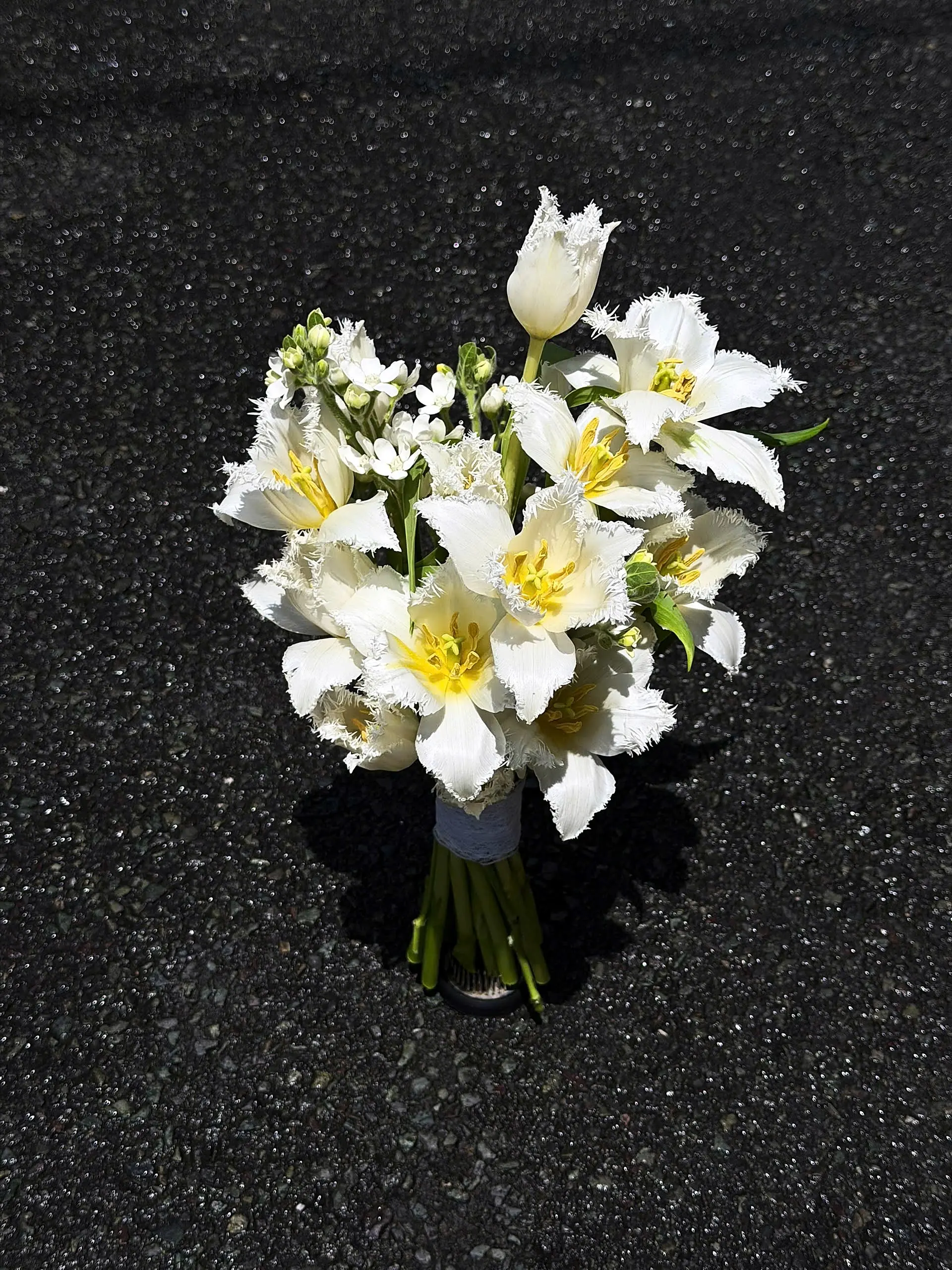 Bó hoa cưới tulip trắng viền tua và hoa trắng nhụy vàng – bộ Bạch Kim Tua Ngọc